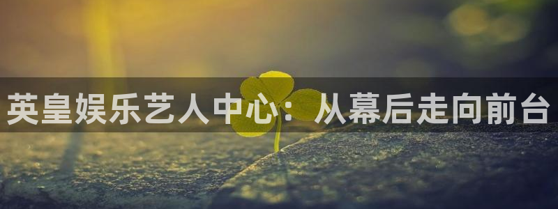 多多28直接下载