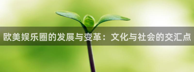 多多28官网下载：欧美娱乐圈的发展与变革：文化与社会的交汇点
