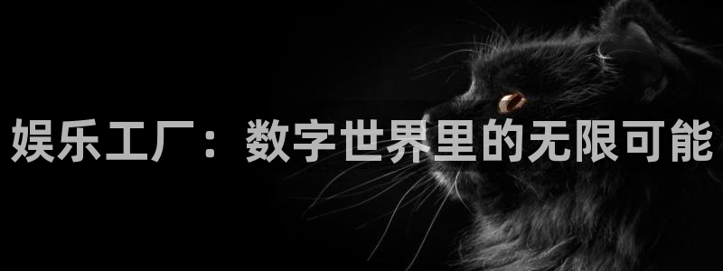 多多28科技赋能场景,让娱乐更有趣：娱乐工厂：数字世界里的无限可能