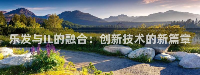 多多28官网入口下载：乐发与IL的融合：创新技术的新篇章