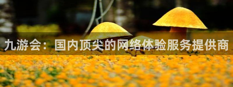 多多28ccm.下载：九游会：国内顶尖的网络体验服务提供商