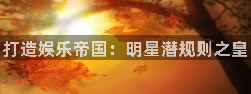 多多28模拟器：打造娱乐帝国：明星潜规则之皇