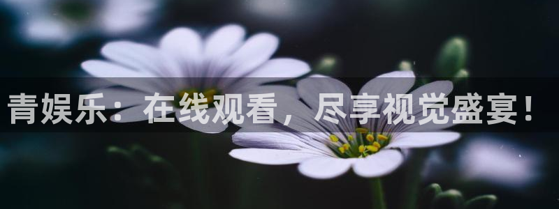 多多28g官网：青娱乐：在线观看，尽享视觉盛宴！