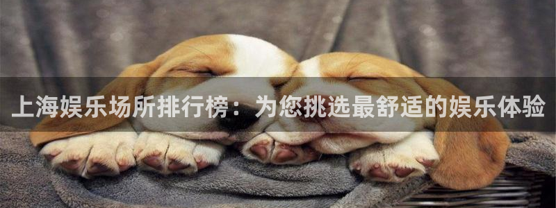 多多28游戏官网入口：上海娱乐场所排行榜：为您挑选最舒适的娱乐体验