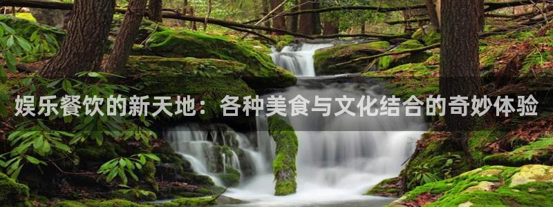 多多28赏金女王下载：娱乐餐饮的新天地：各种美食与文化结合的奇妙体验