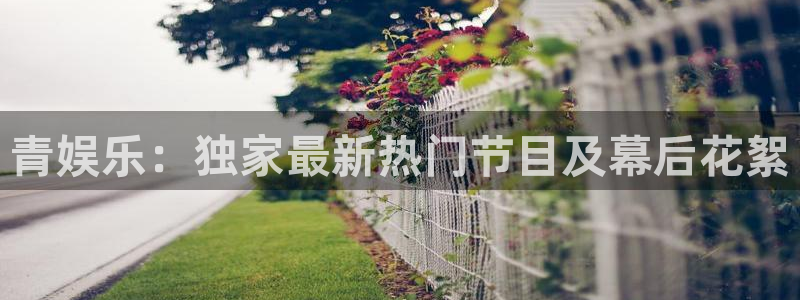 多多28游戏官网入口：青娱乐：独家最新热门节目及幕后花絮