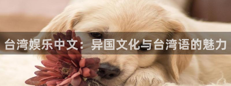 多多28游戏官网入口：台湾娱乐中文：异国文化与台湾语的魅力