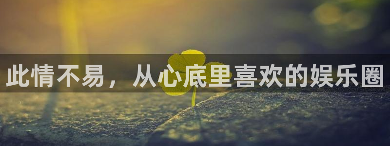 多多28.ccmpc平台下载链接最新版