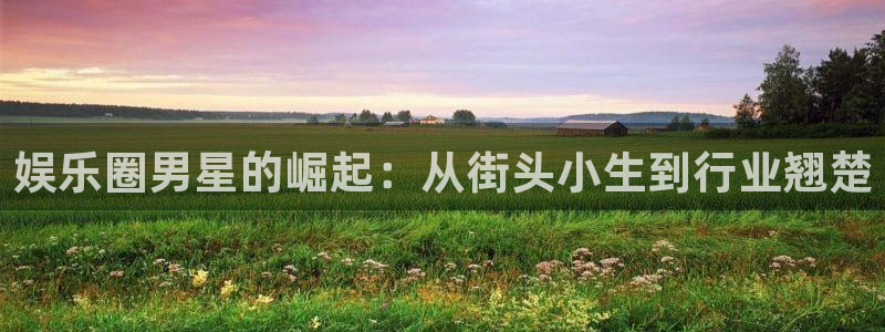 多多28pg官网入口下载：娱乐圈男星的崛起：从街头小生到行业翘楚