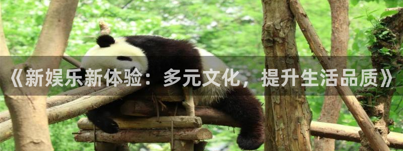 多多28下载官网：《新娱乐新体验：多元文化，提升生活品质》