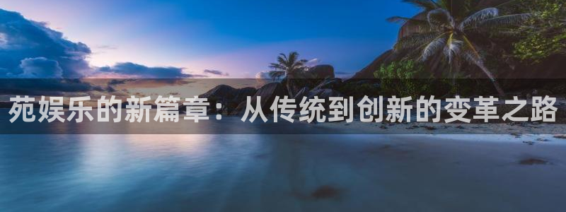多多28娱乐电子游戏：苑娱乐的新篇章：从传统到创新的变革之路