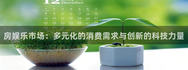 多多28平台电子游戏官网入口：房娱乐市场：多元化的消费需求与创新的科技力量