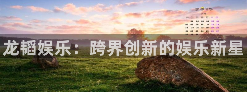 pg电子多多28下载：龙韬娱乐：跨界创新的娱乐新星