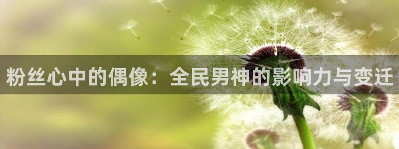 多多28app新版上线体验.游戏更新入口.中国：粉丝心中的偶像：全民男神的影响力与变迁