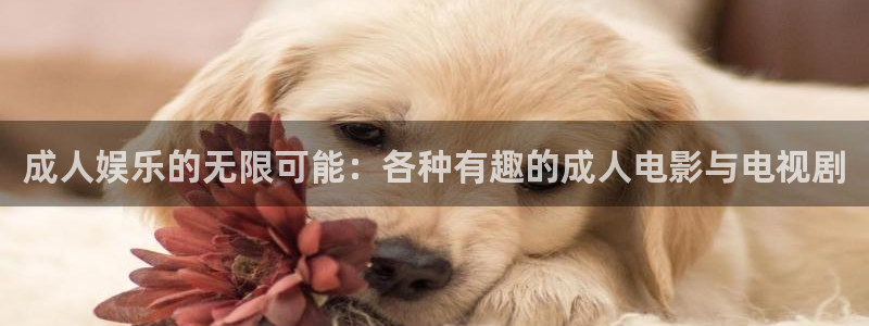多多28平台电子：成人娱乐的无限可能：各种有趣的成人电影与电视剧