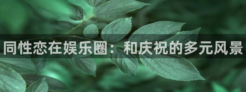 多多28下载链接：同性恋在娱乐圈：和庆祝的多元风景