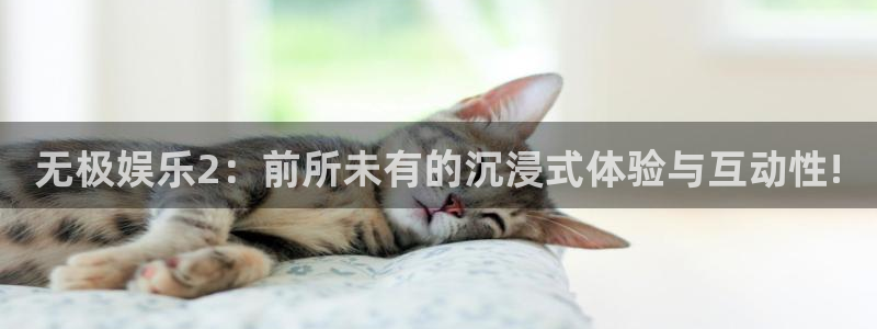 多多28电子游戏：无极娱乐2：前所未有的沉浸式体验与互动性!