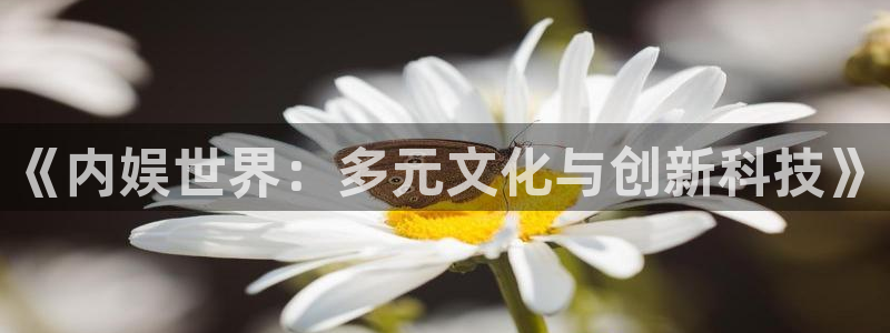 多多28app下载入口：《内娱世界：多元文化与创新科技》