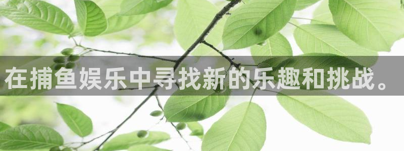 多多28.ccpc：在捕鱼娱乐中寻找新的乐趣和挑战。