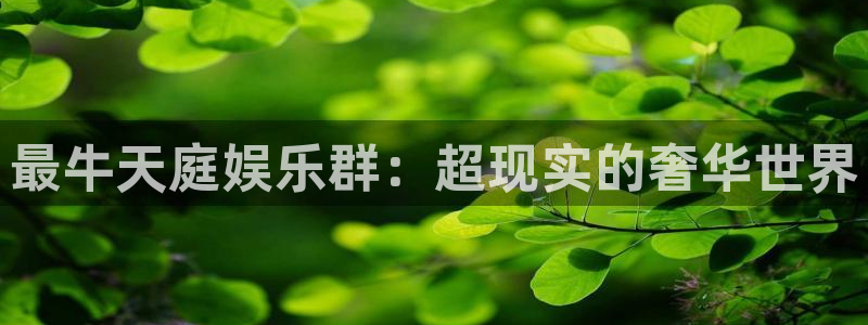 多多28app图标：最牛天庭娱乐群：超现实的奢华世界