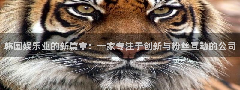 多多28链接：韩国娱乐业的新篇章：一家专注于创新与粉丝互动的公司