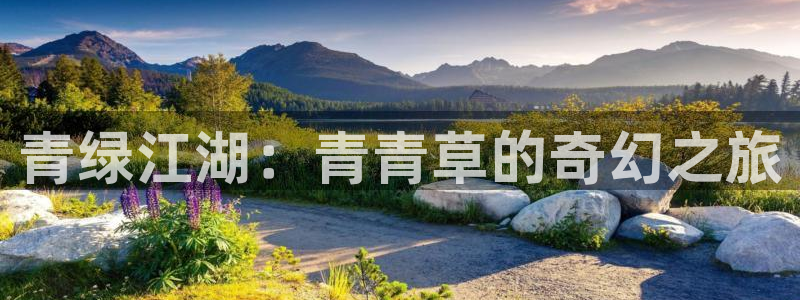 多多28平台下载官网：青绿江湖：青青草的奇幻之旅