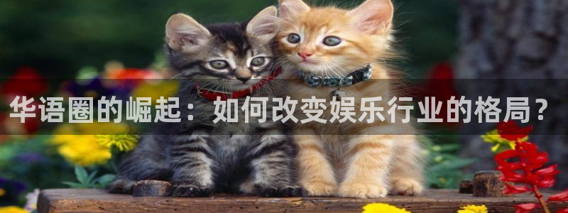 多多28ccm.下载