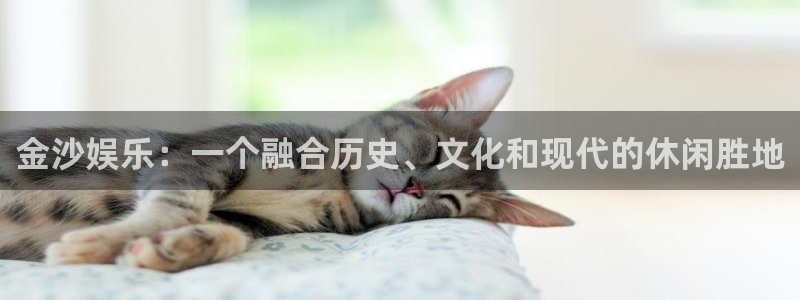 多多28平台下载官网