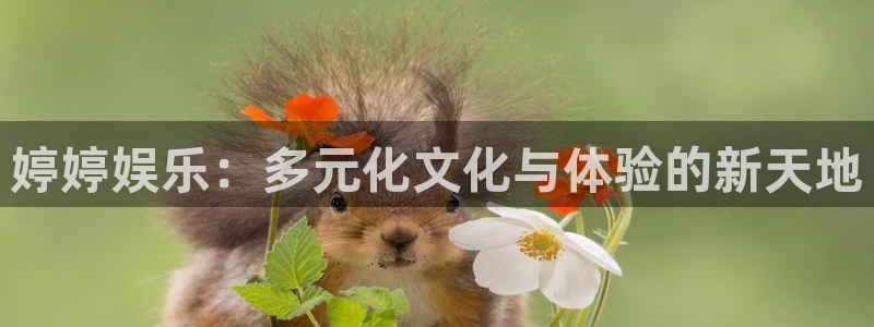 多多28.ccmpc官网登录入口