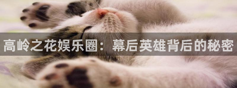 多多28电子游戏官网入口：高岭之花娱乐圈：幕后英雄背后的秘密