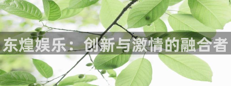 多多28ccm.下载：东煌娱乐：创新与激情的融合者
